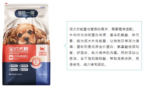 派得宠物