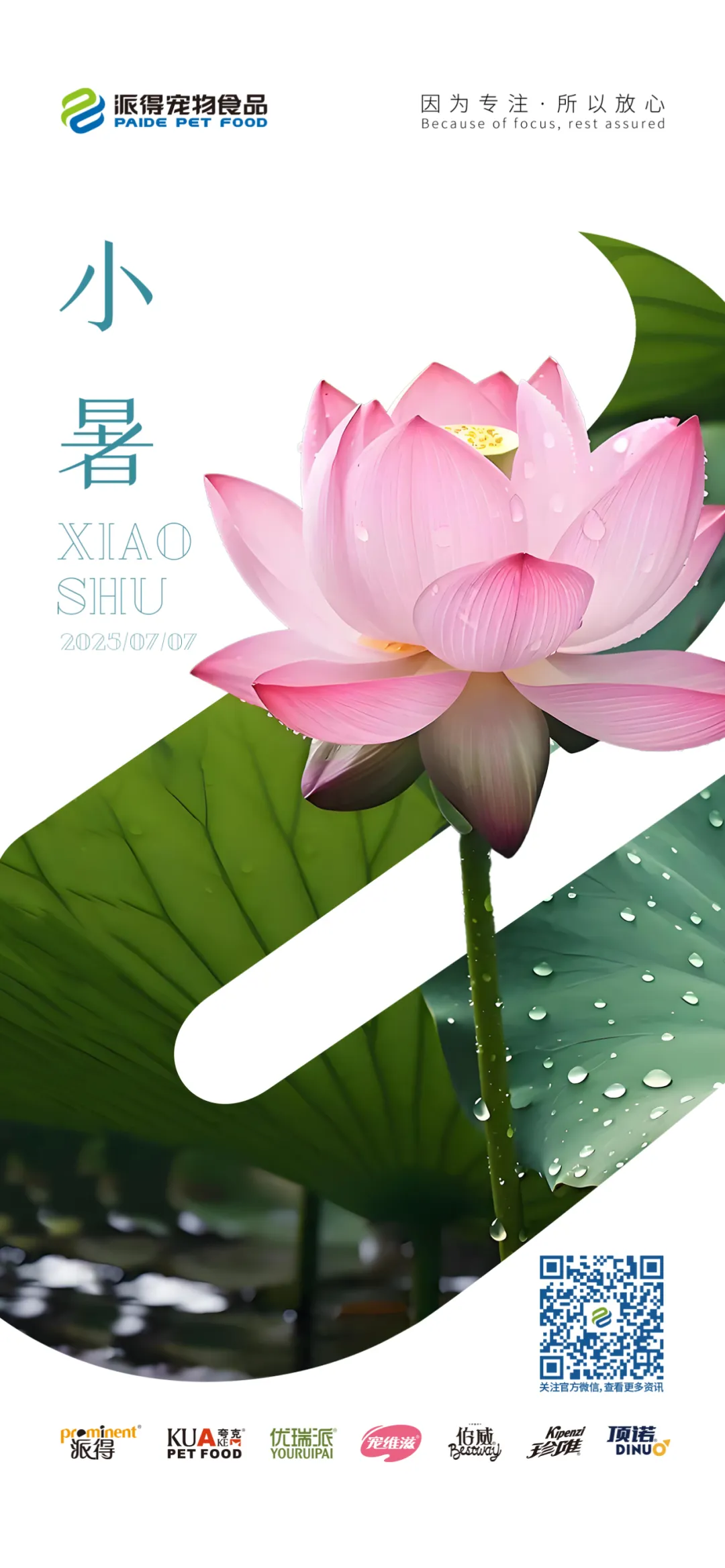 派得宠物